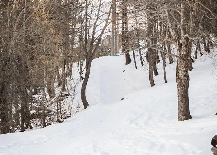 Apartmán Maison Rododendro Elegant *