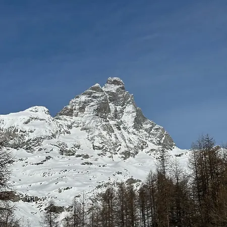 Maison Rododendro Elegant