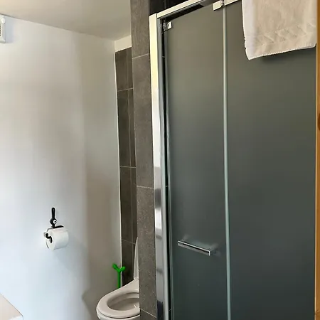 Maison Rododendro Elegant דירה ברויל-קרוויניה