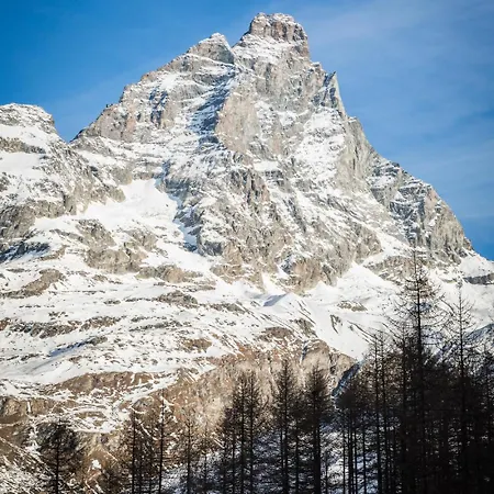 Maison Rododendro Elegant ברויל-קרוויניה